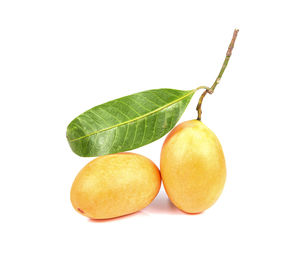 Close-up of oranges against white background