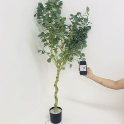 Hand holding plant against white wall