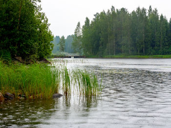 Scenic view of lake in forest against sky