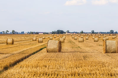 agriculture