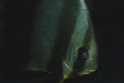 Close-up of glass over white background