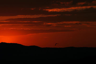 Scenic view of orange sky