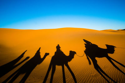 Silhouette people riding horse in desert against sky during sunset