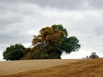 Trees on field against sky