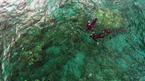 High angle view of people snorkeling in turquoise sea