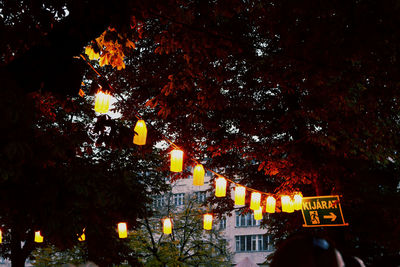 Illuminated street light at night