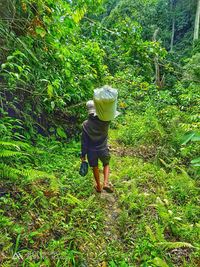 Rear view of woman walking in forest