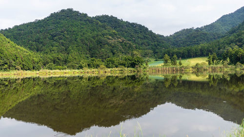 Reflection of trees in lake against sky