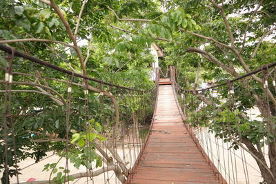 Footbridge amidst trees in forest