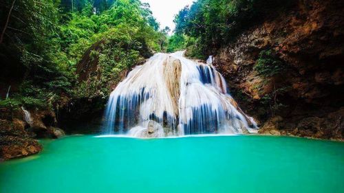 Scenic view of waterfall in forest