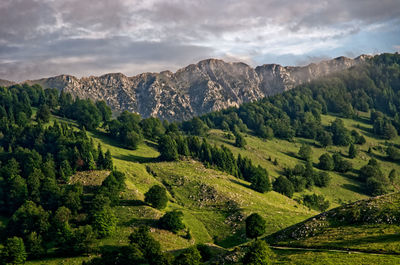 Scenic view of landscape and mountains against sky