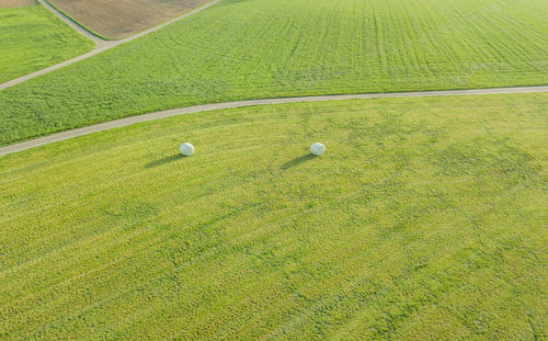 High angle view of golf ball on field