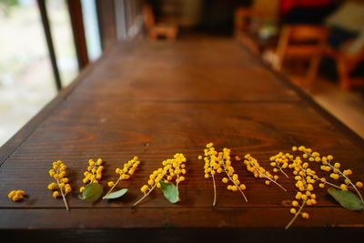 Close-up of yellow flowering plant on table