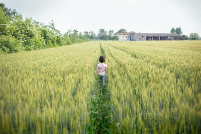 Girl with short hair in pink top walks away in green wheat field