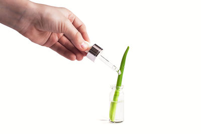 Close-up of hand holding paper over white background