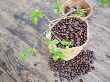 High angle view of coffee beans on table