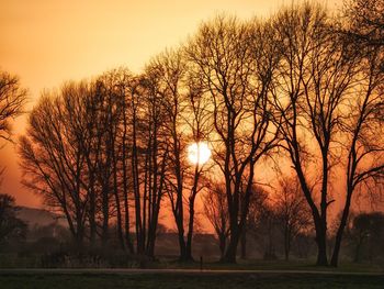 Bare trees against sky during sunset