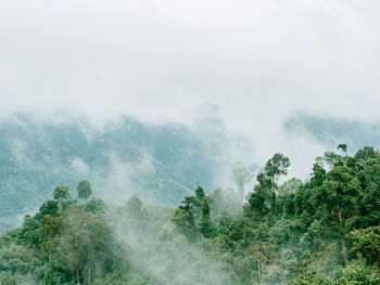 Scenic view of waterfall in forest against sky