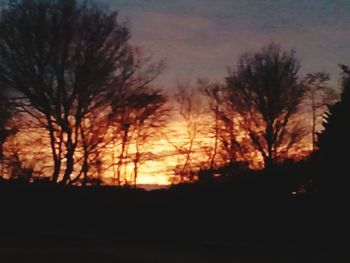 Silhouette trees against sky during sunset