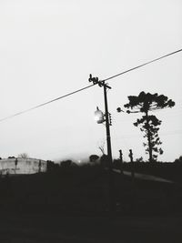 Low angle view of silhouette trees against sky