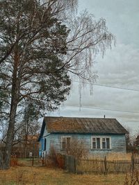tree