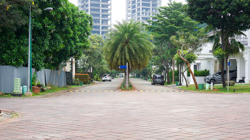 Street amidst trees and plants in city