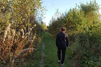 Rear view of man standing on grass against trees