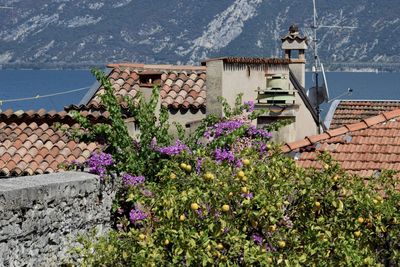 High angle view of townscape by sea