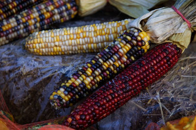 Close-up of fresh vegetables