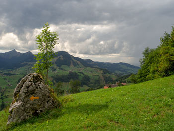 Scenic view of landscape against sky