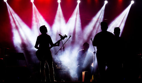 People enjoying music concert at night