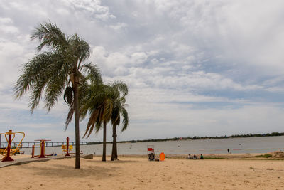 Scenic view of palm trees on beach against sky