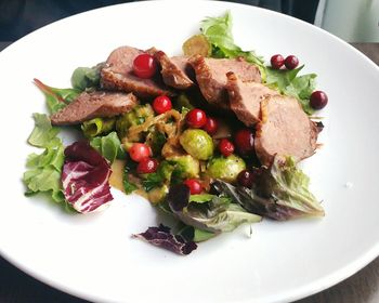 Close-up of meal served in plate