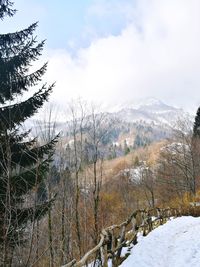 Scenic view of landscape against sky during winter