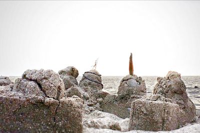 Rock formations on coast