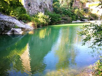 Scenic view of lake by trees