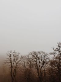 Low angle view of bare trees against clear sky