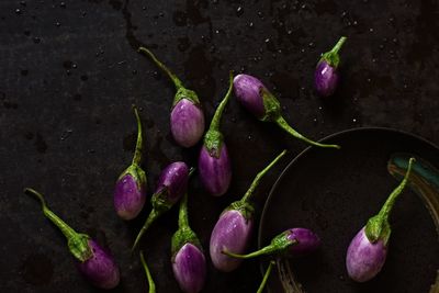 High angle view of eggplants in plate on table