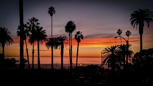 Silhouette palm trees by swimming pool against sky during sunset