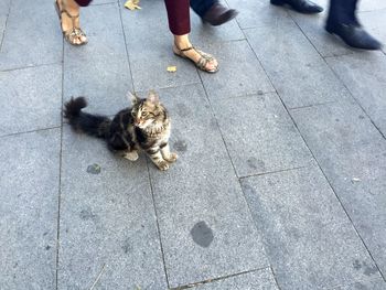 Low section of people standing on footpath