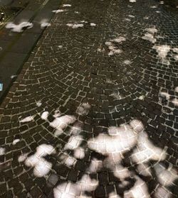 High angle view of wet street during rainy season