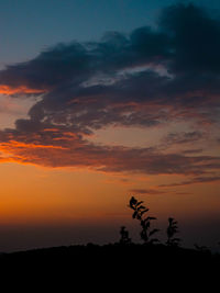 Silhouette plants against dramatic sky during sunset