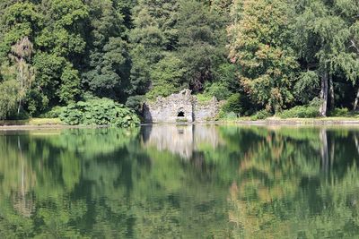 Scenic view of lake by trees and plants