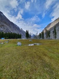 Scenic view of field against sky