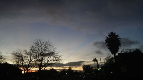 Bare trees at sunset