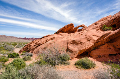 Close-up of landscape against sky