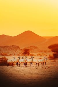 Scenic view of desert against sky during sunset