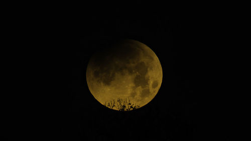 Low angle view of moon against clear sky at night