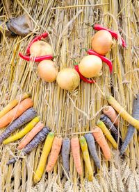 High angle view of vegetables on field