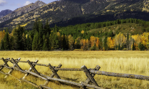 Scenic view of landscape against mountains